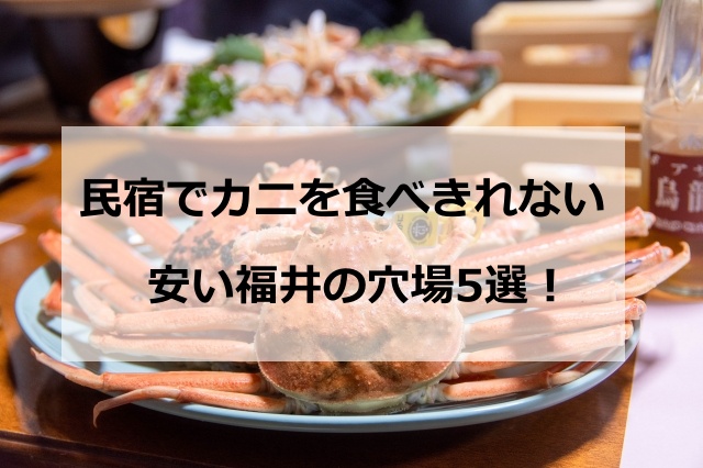 民宿でカニを食べきれない・安い福井の穴場5選！満腹食べれるおすすめ時期はいつ？