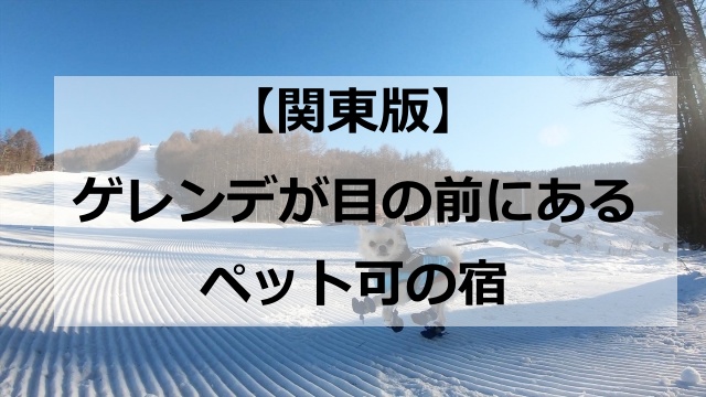 ゲレンデが目の前にあるペット可の宿【関東版】3選！スキー場直結ホテルの選び方