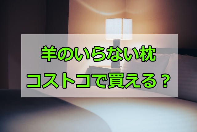 羊のいらない枕はコストコで買える？店舗での在庫状況や安い値段で購入する方法を解説！
