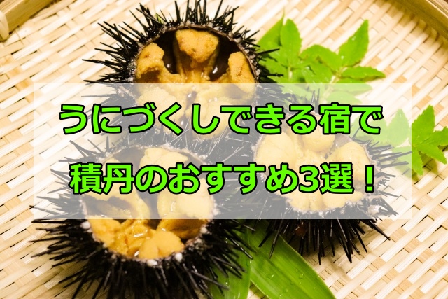 うにづくしできる宿で積丹のおすすめ3選！安い宿泊施設を選ぶ方法と注意点