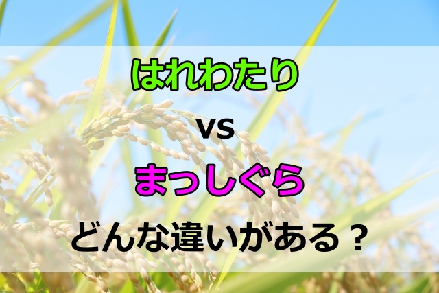 はれわたりとまっしぐらの違いは？味や粘り気の比較で選び方がわかる！