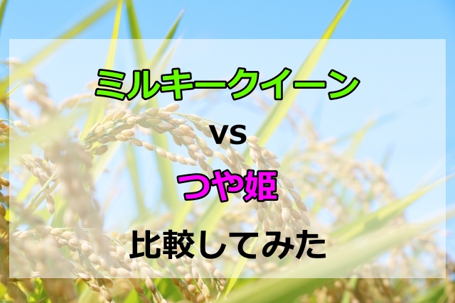 ミルキークイーンとつや姫を比較！もちもち食感や味の特徴に違いはあるの？