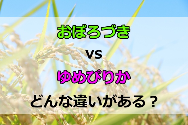 おぼろづきとゆめぴりかの違いは？味や特徴を比較して選び方を紹介
