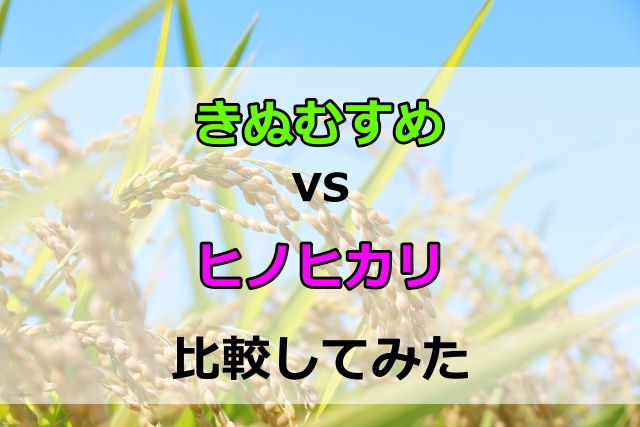 きぬむすめとヒノヒカリを比較！産地や食味ランクの違いをわかりやすく解説