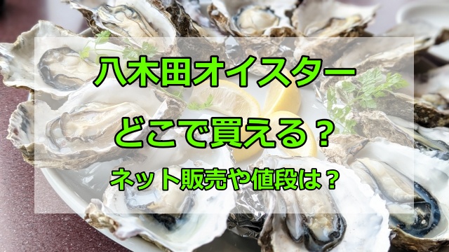 八木田オイスターはどこで買える？ネット販売の状況や値段の相場を紹介！