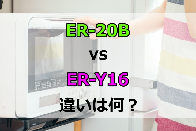ER-20BとER-Y16の違いは？発売日や価格を比較してどっちがいいか解説